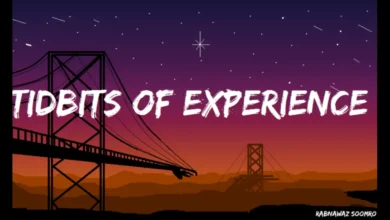 tidbits of experience