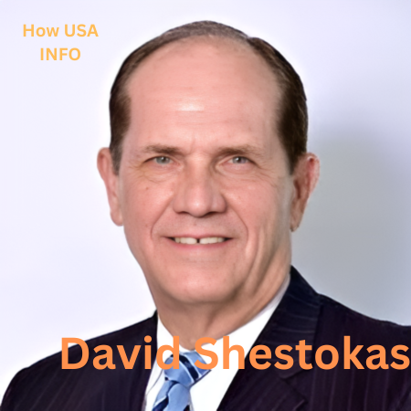 biography of david shestokas