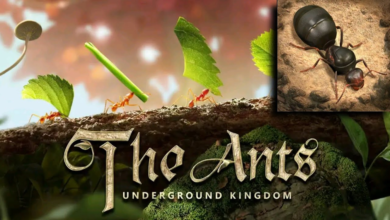 Best Ant in The Ants Underground Kingdom to Win Easily